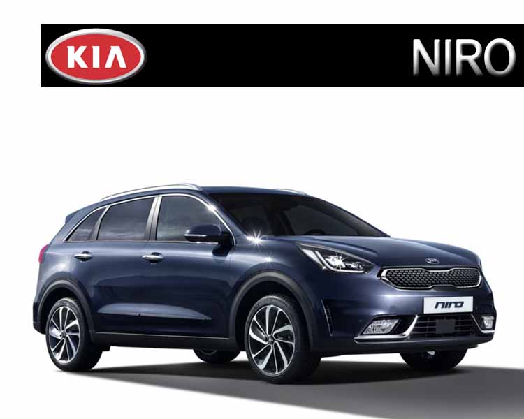 NIRO.jpg NIRO.jpg